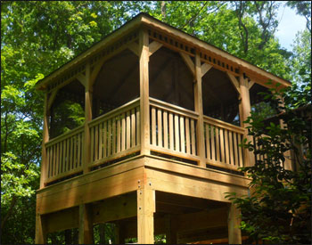 10 x 12 Treated Pine Rectangular Gazebo shown with custom straight braces, full set of screens and screen door, and offset door.