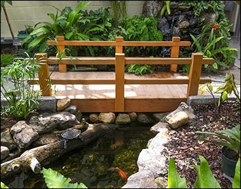 Custom 6 Red Cedar Camelot Double Rail Bridge shown with Cedar Stain/Sealer, No Post Caps, and Flat Beam for ADA compliance.