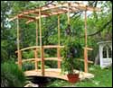 Monet's Red Cedar Bridge w/ Curved Wisteria Canopy