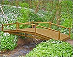 Treated Pine Log Rail Bridge w/White Cedar Posts & Railing