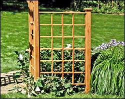 Red Cedar Arbor Wing (Set of 2)