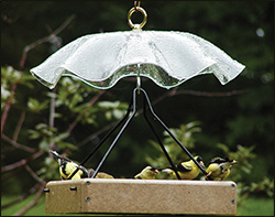 Poly Lumber Birdhouses and Feeders