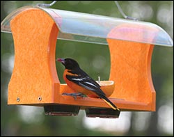 Poly Lumber Oriole Feeder