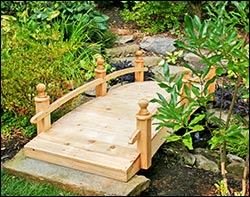 Red Cedar Starflower Single Rail Bridge