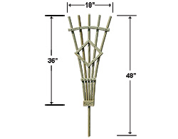 Garden Trellises