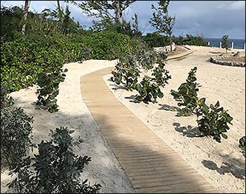3 Wide Treated Pine Roll-Up Walkway