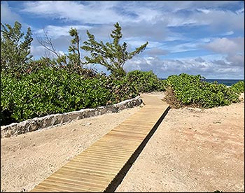 3 Wide Treated Pine Roll-Up Walkway