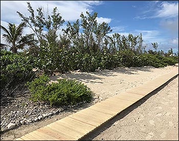 3 Wide Treated Pine Roll-Up Walkway