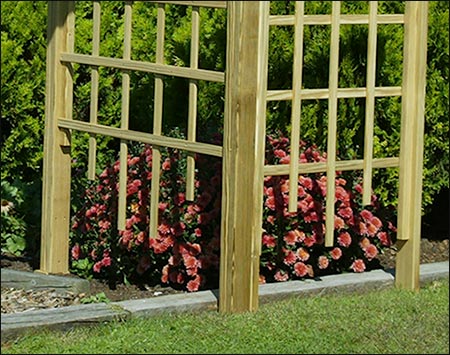 Treated Pine Classic Arbor