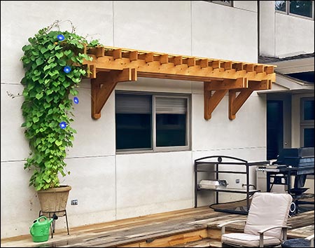 Red Cedar Eyebrow Pergolas