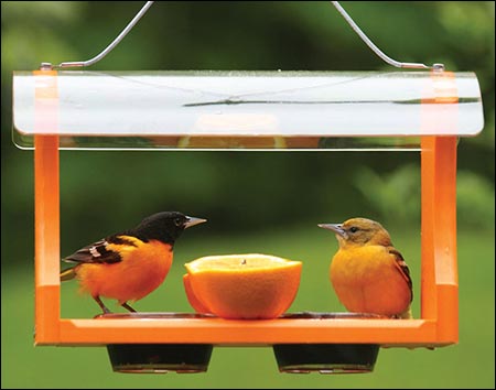 Poly Lumber Oriole Feeder