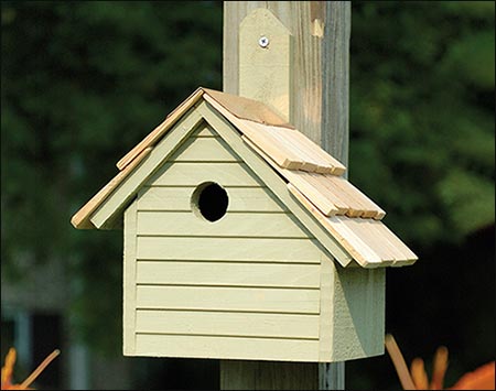 Cypress Hyannis Bird House