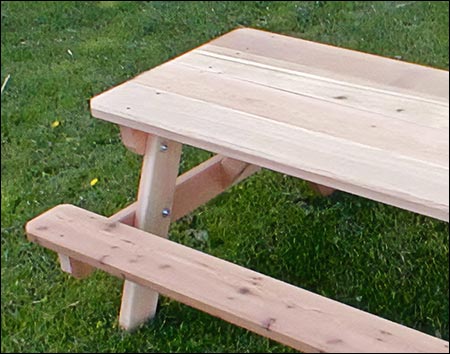 Red Cedar Kids Picnic Table