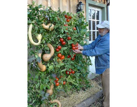 Skyscraper Garden ™ Trellis