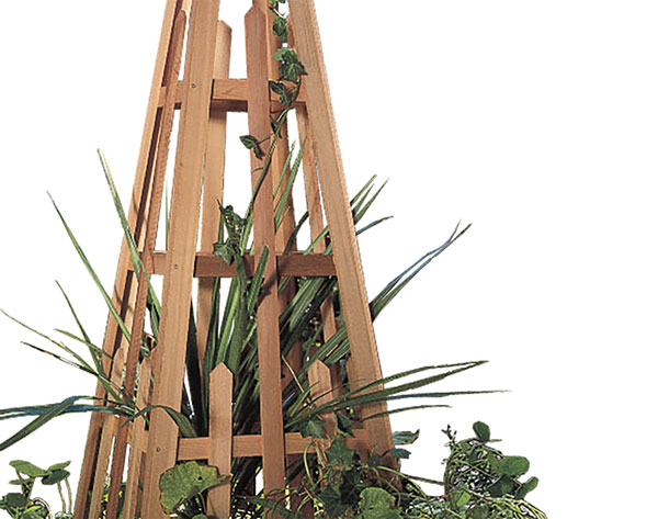 Red Cedar Obelisk