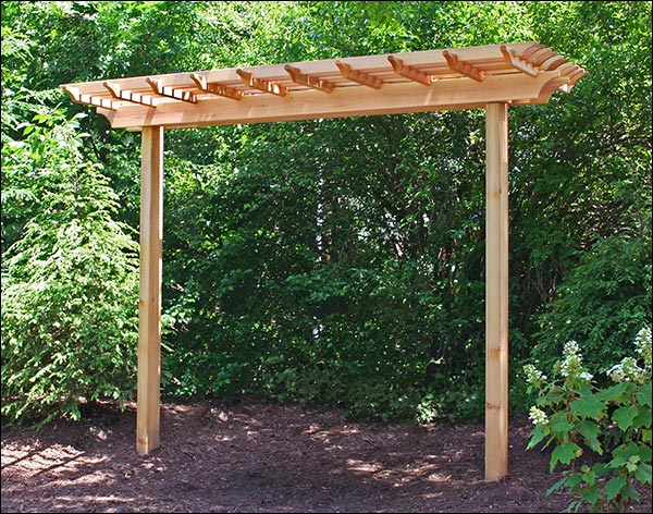 Alternate Views of Red Cedar Marquis Arbor Alternate Views of Red Cedar Marquis Arbor