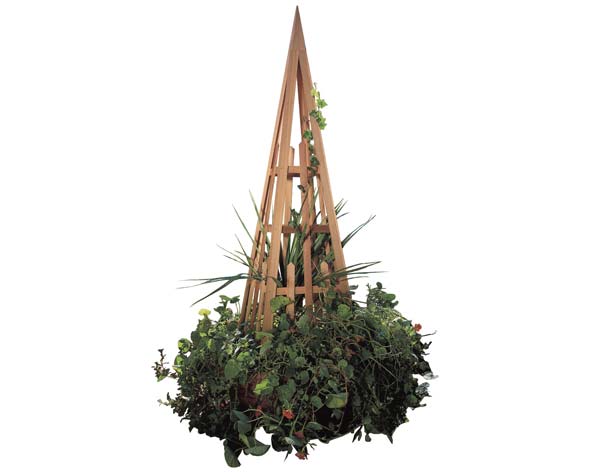 Red Cedar Obelisk