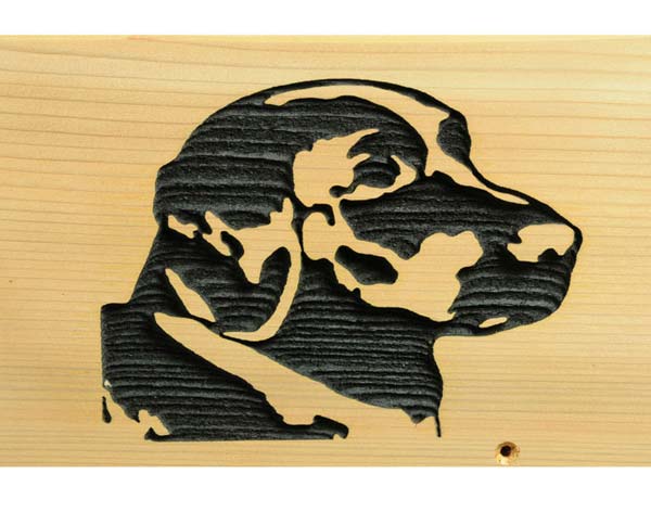 Red Cedar Black Dog Head Mailbox