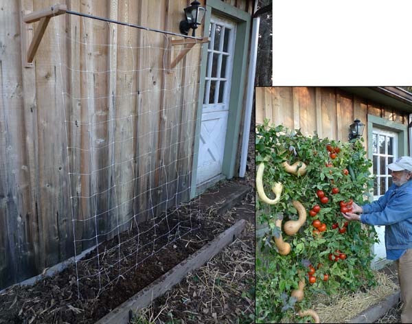 Skyscraper Garden ™ Trellis